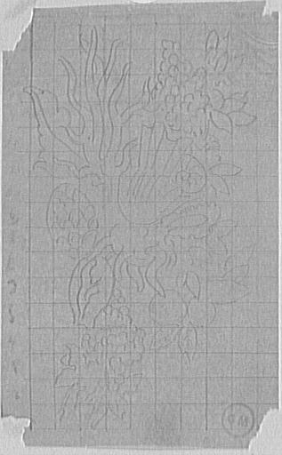 Études de coraux_0