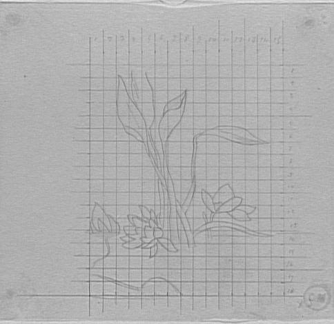 Étude de renoncule d'eau_0