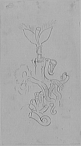 Étude de corail_0