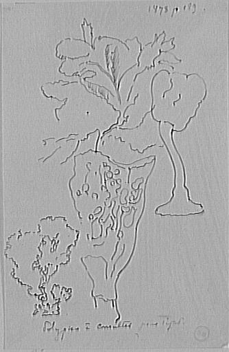 Étude de coraux_0