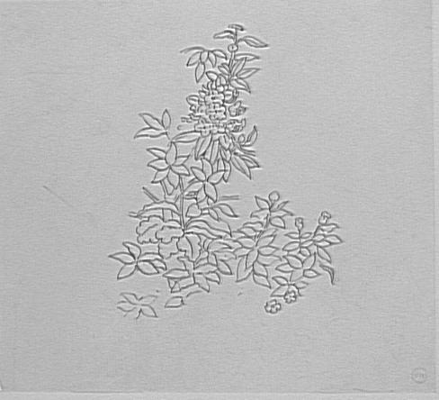 Étude de branches de lilas_0