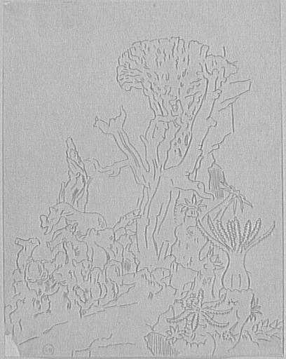 Étude de massif coralien pour Galatée_0