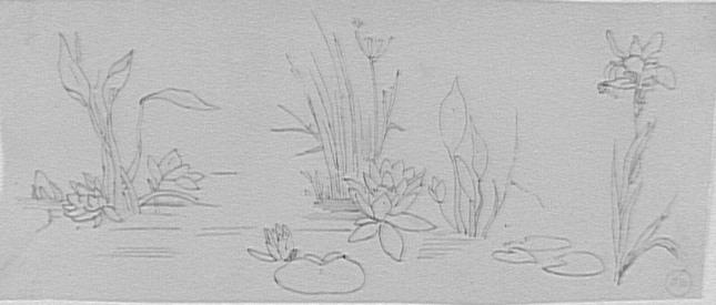 Étude de plantes aquatiques pour Les Filles de Thespius_0