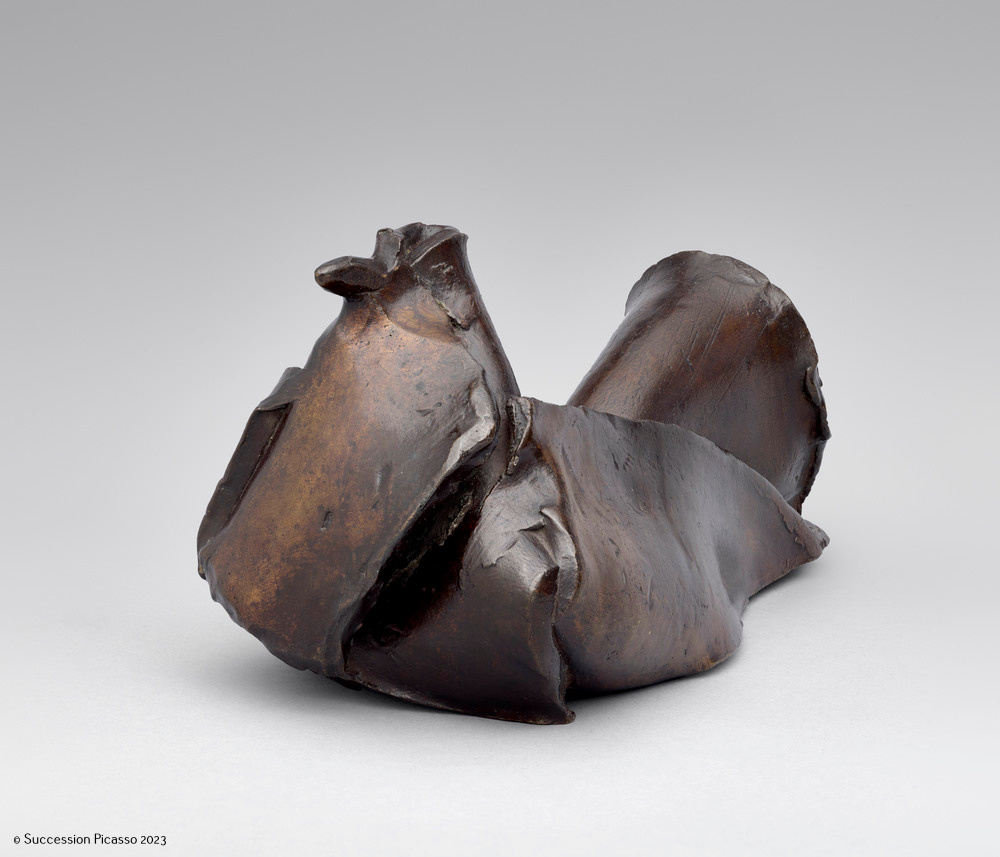 Pigeon_1