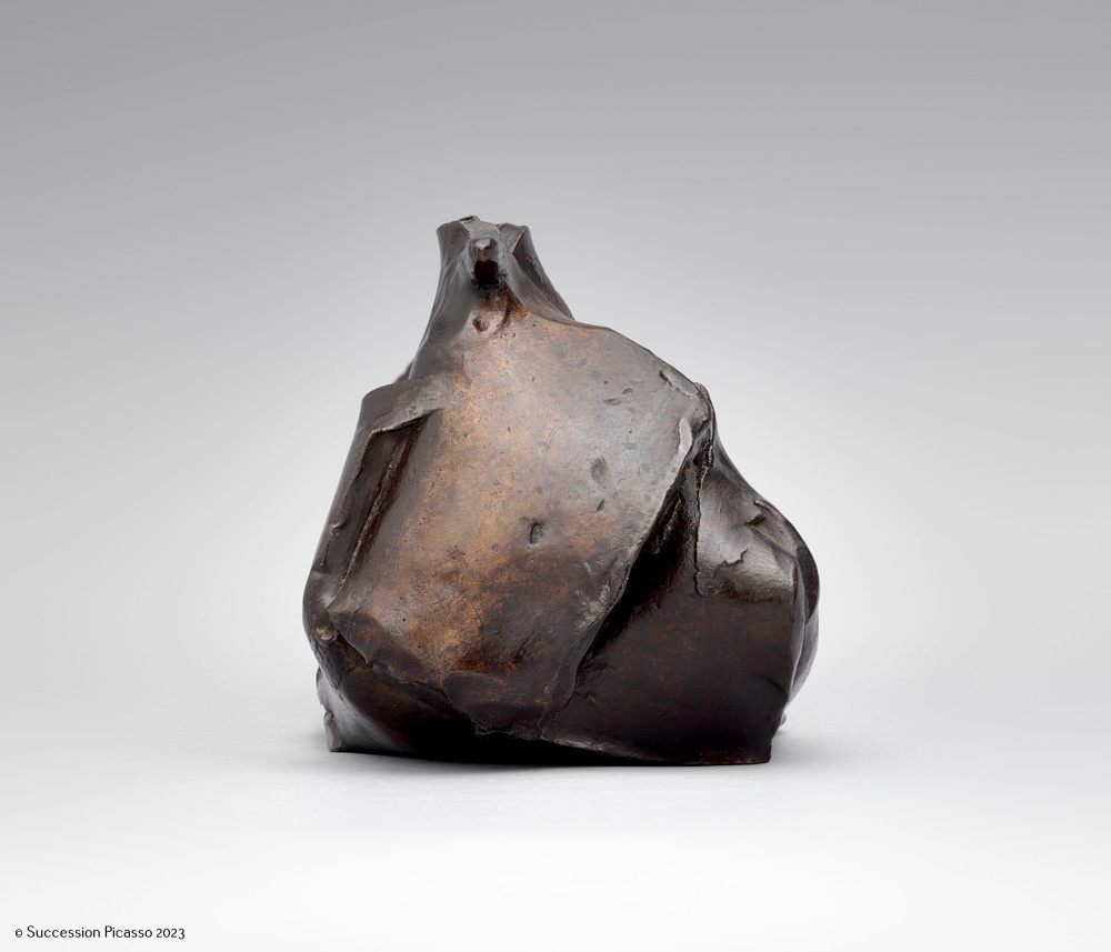 Pigeon_2