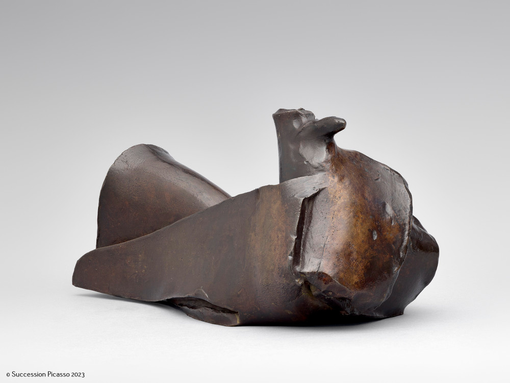 Pigeon_3