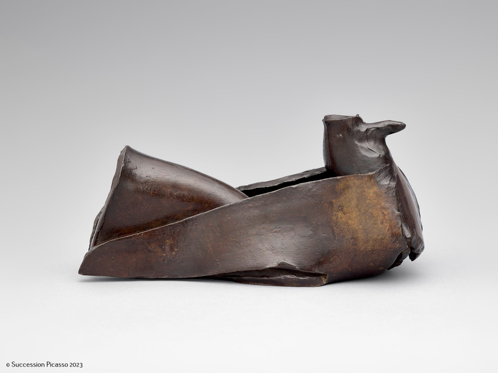 Pigeon_4