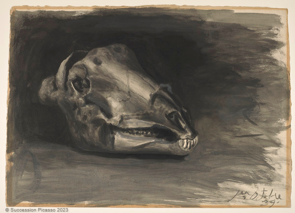 Crâne de mouton_0