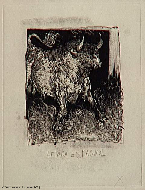 Le Toro espagnol_0