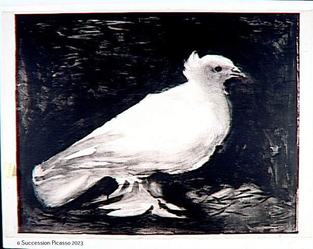 La Colombe_0