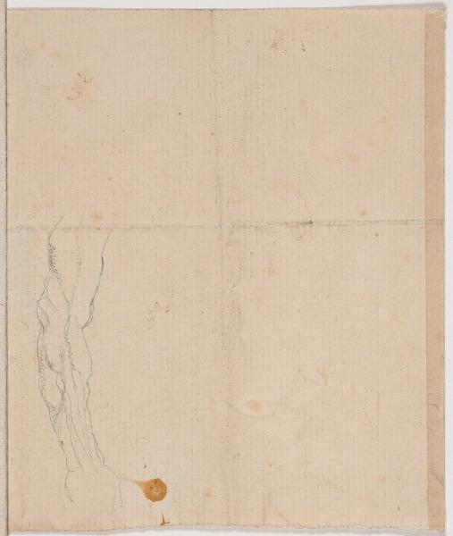 Musculature d'un torse (recto) ; Bras (verso)_1