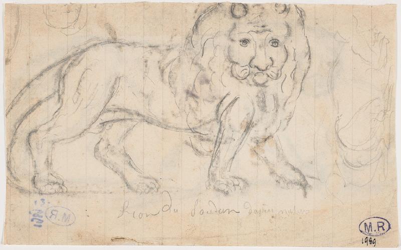 Lion du Soudan d'après nature, Auguste Rodin, 1917 avant