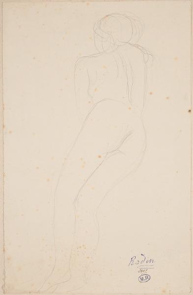 Femme nue allongée, vue de dos_0