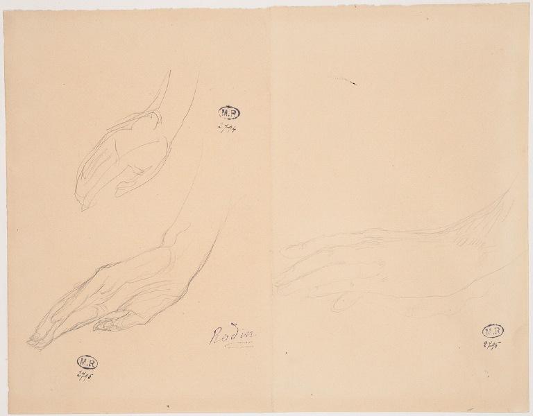 Main aux doigts allongés, Auguste Rodin, 1917 avant
