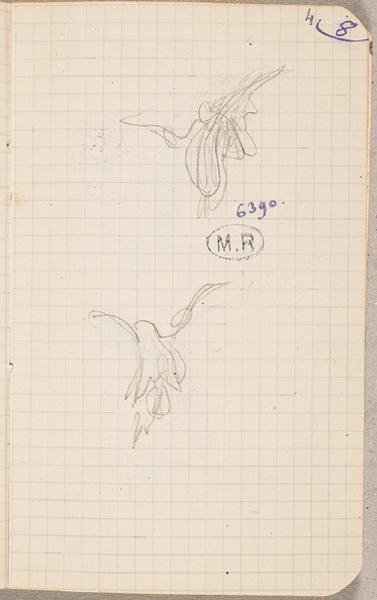 Oiseaux aux ailes déployées, Auguste Rodin, 1915 vers