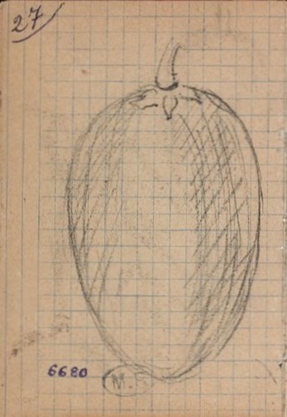 Fruit d'amandier ?_0