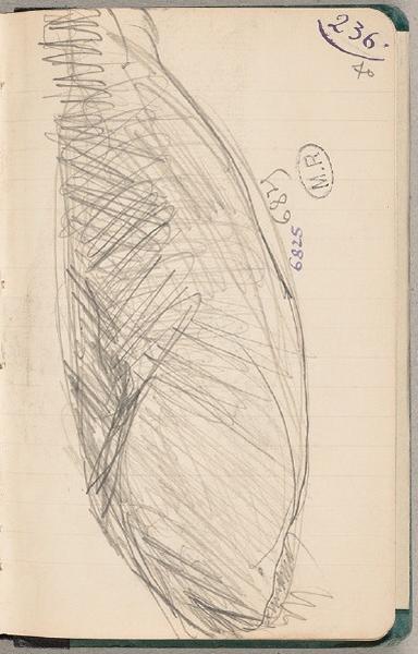 Poisson, Auguste Rodin, 1917 avant