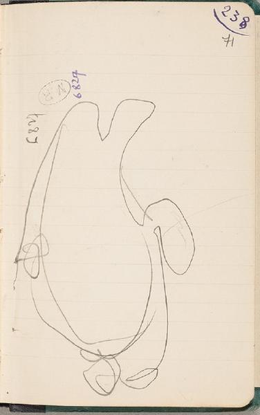 Tortue ?, Auguste Rodin, 1917 avant