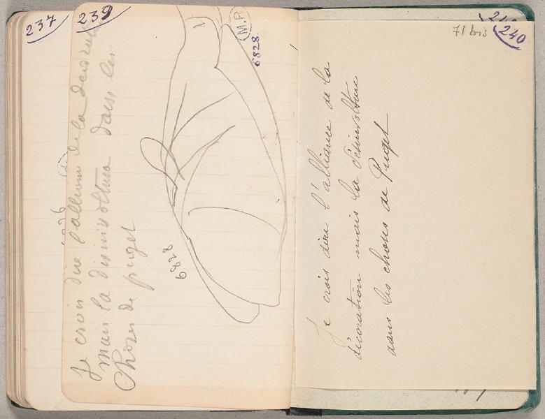 Poisson, Auguste Rodin, 1917 avant