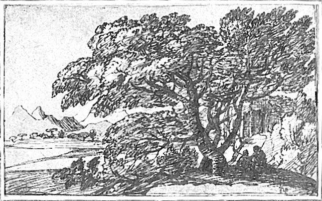 Etude d'yeuses, Claude Lorrain, 17e siècle