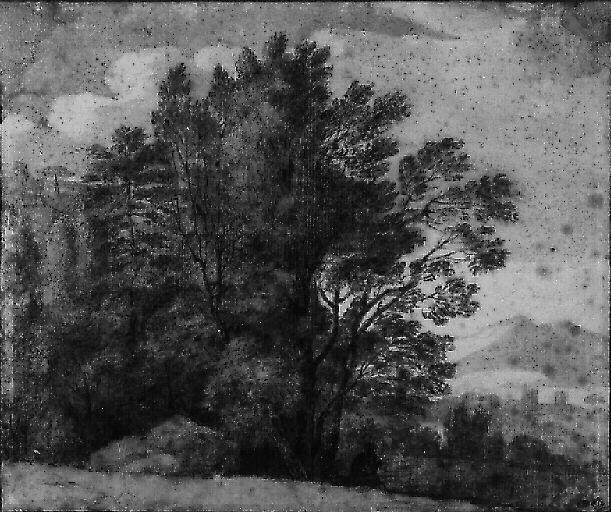 Arbres à l'orée d'un bois, Claude Lorrain, 17e siècle