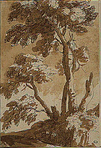 Etude d'arbres, Claude Lorrain, 17e siècle