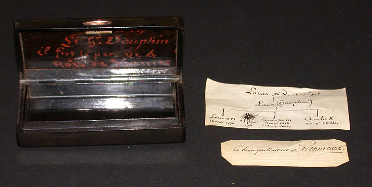 Louis-Joseph dauphin de France (1729-1765), fils de Louis XV et père de Louis XVI_1