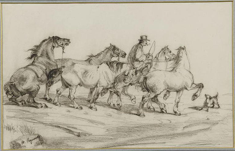 Conduite de chevaux_0