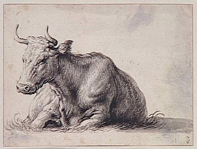 Vache couchée_0