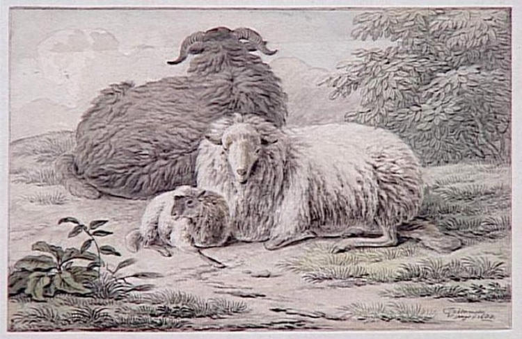 Un bélier, une brebis et un agneau accroupis, Jan III Van der Meer, 1688