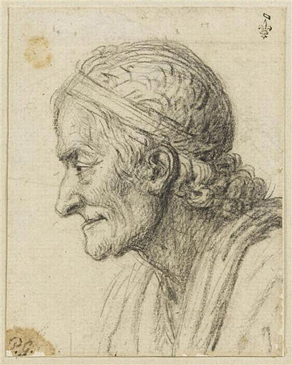 Voltaire de profil_0