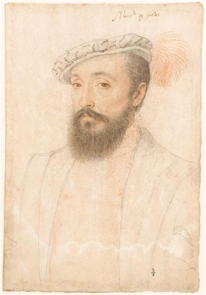 Bertrand Raimbaud V de Simiane, baron de Gordes_0