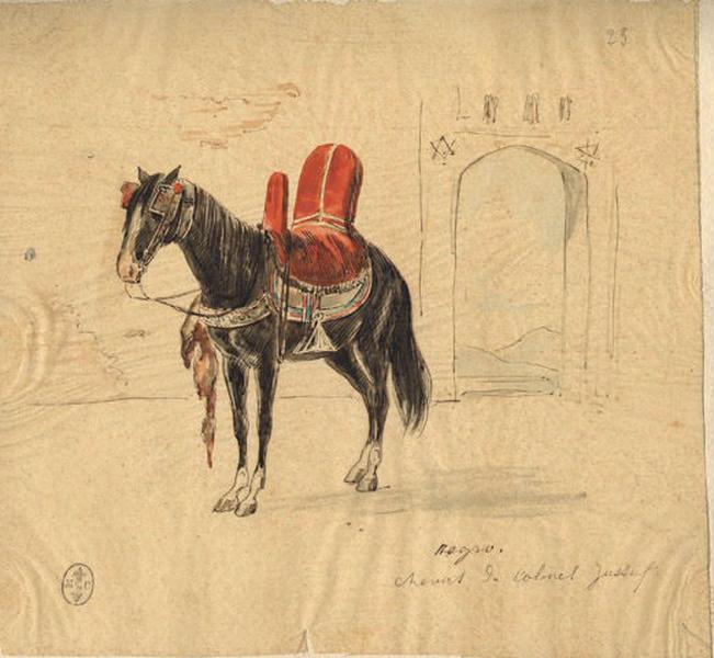 Afrique 1835-1845 (67) : Negro, cheval du colonel Yussuf_0