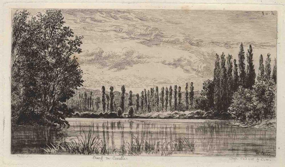 Etang de Comelles_0