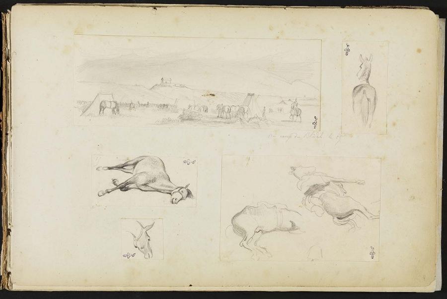 Etude de cheval couché, Félix Philippoteaux, 1840