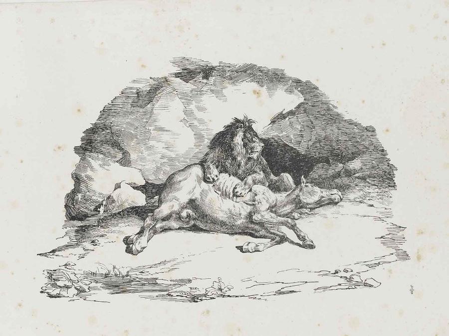 Série de sept cartons lithographiques réalisées en Angleterre : Lion dévorant un cheval_0