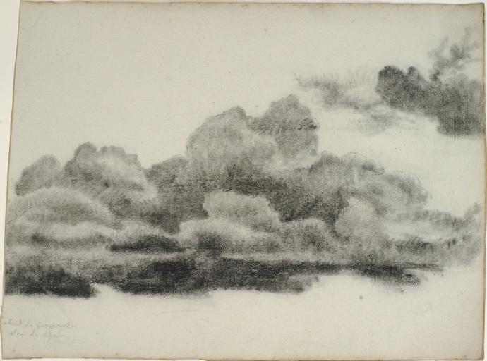 sous la Ligne, Charles Alexandre Lesueur, 1800-1804