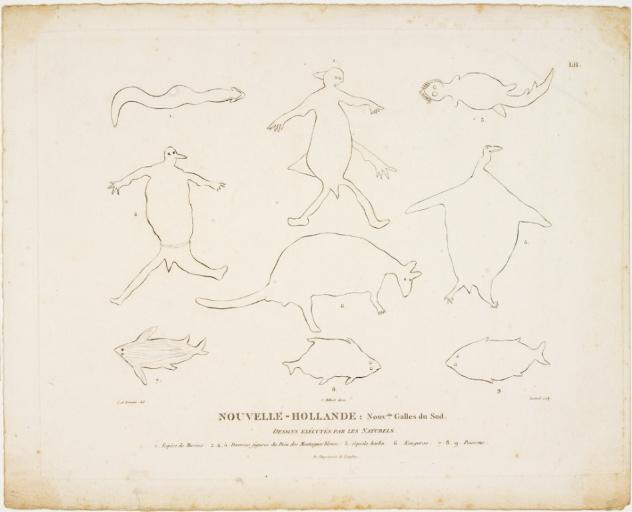 Nouvelle-Hollande : Nouvelle Galles du Sud - Dessins exécutés par les naturels - 1 : Espèce de Murène - 2, 4, 5 : Diverses figures du Dieu des Montagnes bleues - 3 : Squale barbu - 6 : Kanguroo - 7, 8, 9 : Poissons, Charles Alexandre Lesueur, 1804-1808