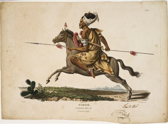 Cavalier de Timor (Indonésie)_0
