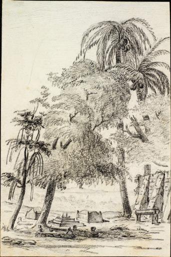 Tombes malaises sous des arbres ; au second plan, la rade de Coupang (Timor), Charles Alexandre Lesueur, 1800-1804