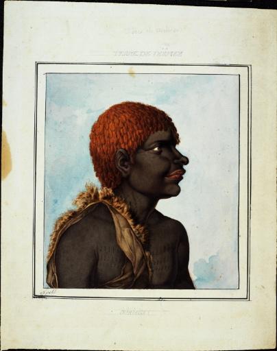 Homme de Tasmanie Terre de Diémen - Ouriaga ?_0