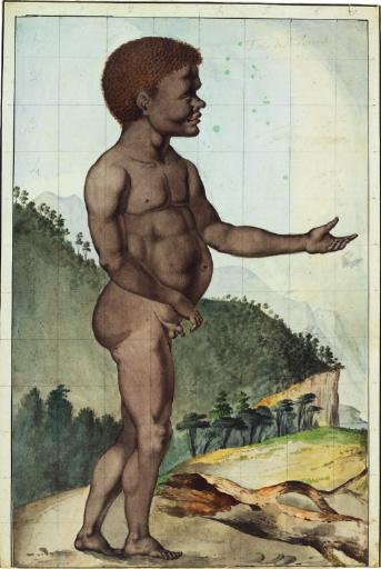 Jeune garçon de la Terre de Diemen (Tasmanie)_0