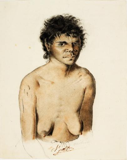 Oïe réquiné, femme de Nouvelle-Hollande (Australie)_0
