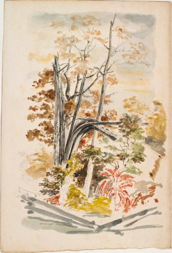Feuillages d'automne, région de Philadelphie (Pennsylvanie)_0