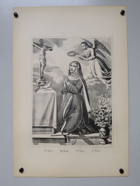 Ste. Rose. (titre inscrit, français, allemand, anglais, espagnol), Camille Burckardt, 1880-1888