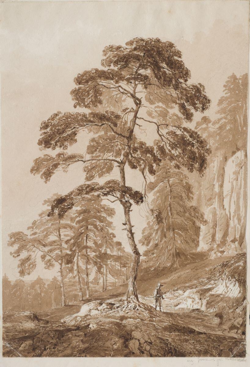 Paysage de montagne avec un marcheur, David Ortlieb, 1842 achevé en