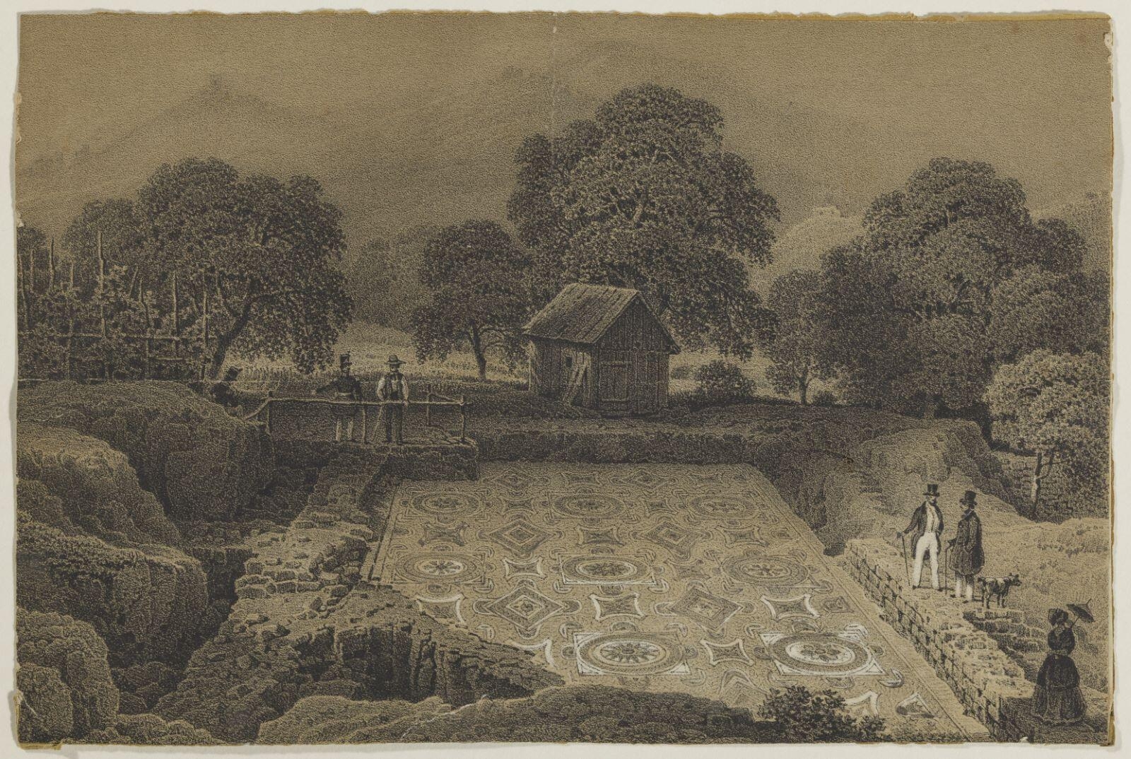 La mosaïque près Bergheim_0
