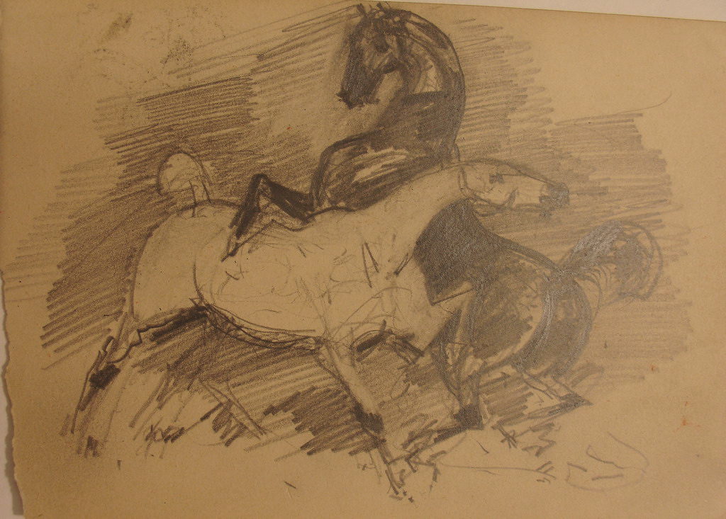 Cheval blanc et cheval noir s’amusant / Cheval blanc tenu par la bride_0