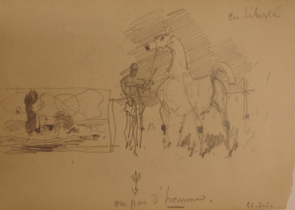 Cheval blanc et cheval noir s’amusant / Cheval blanc tenu par la bride_1