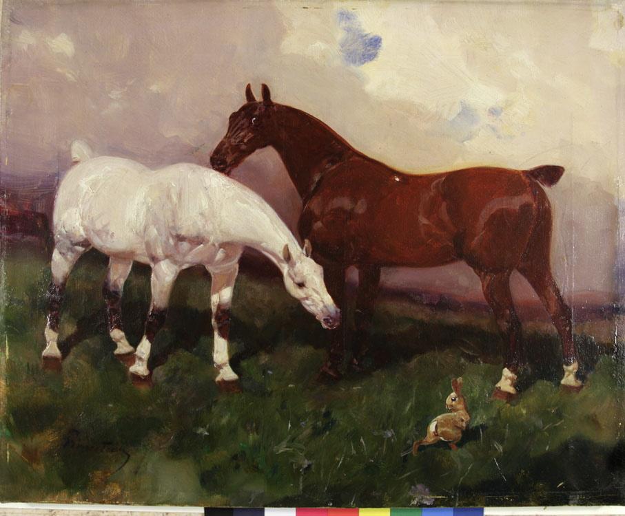 Les chevaux et le lapin_0